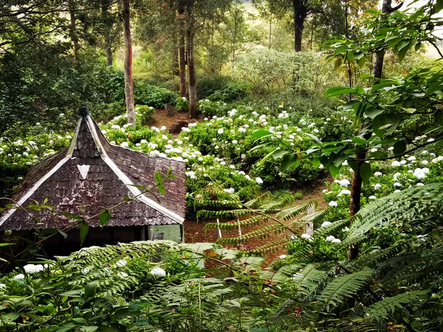 Pesanggrahan Bumi Pertolo