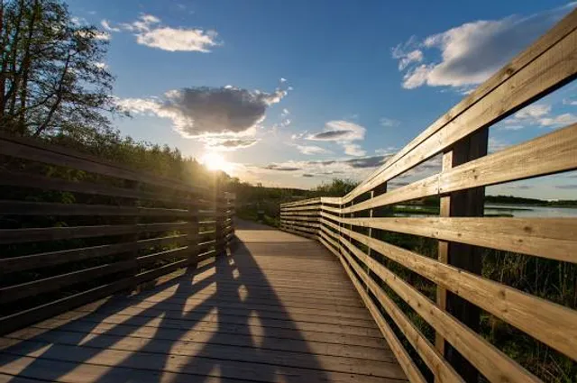 Oset and Rynningeviken