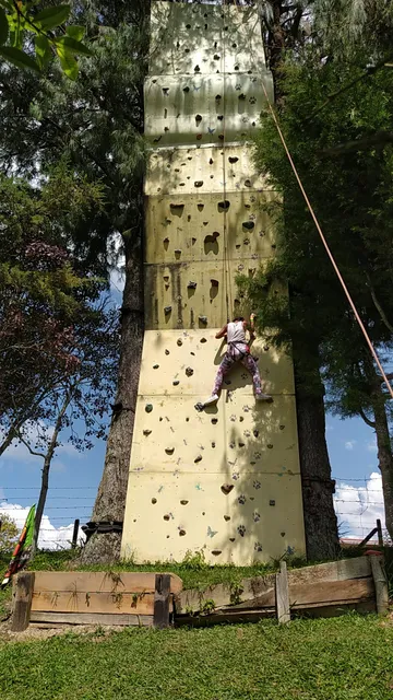 Canopy The Chipmunks