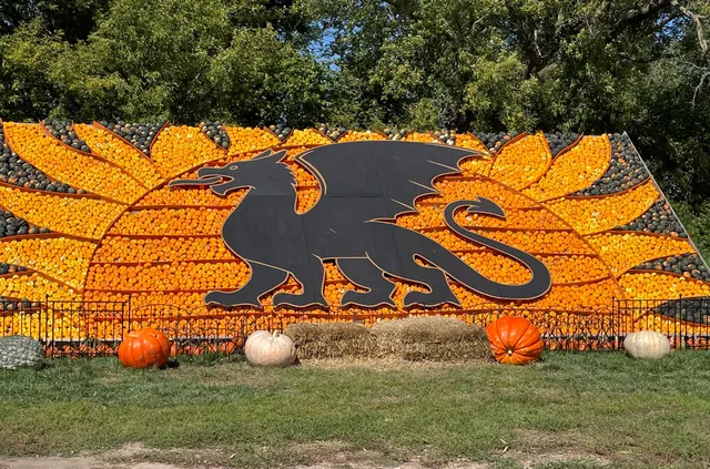 Sever's Corn Maze & Farm Market