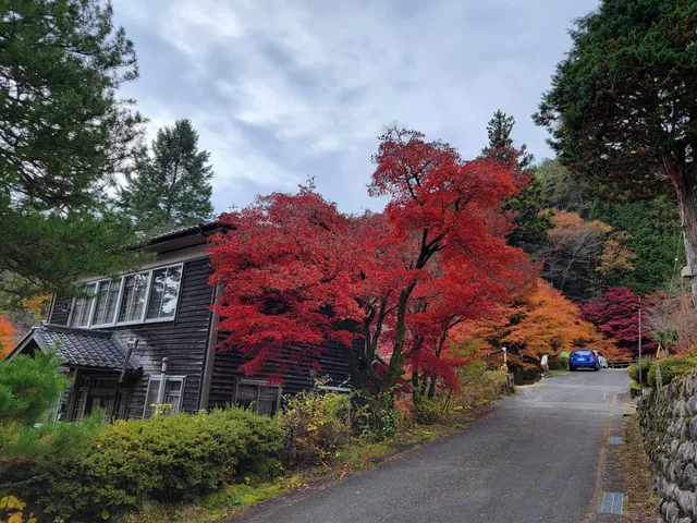 Nosokoyama Forest Park
