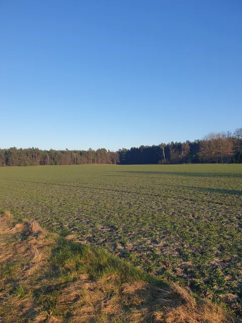 Gedenkstätte Stalag 326 (VI K) Senne