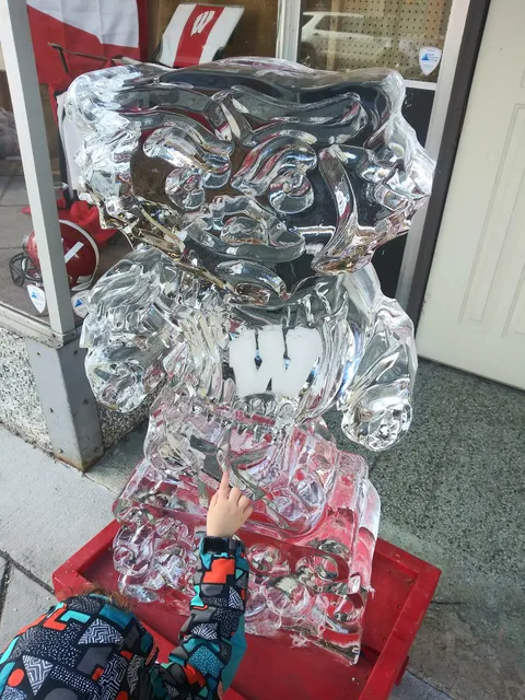 The House of Nutrition & Wellness