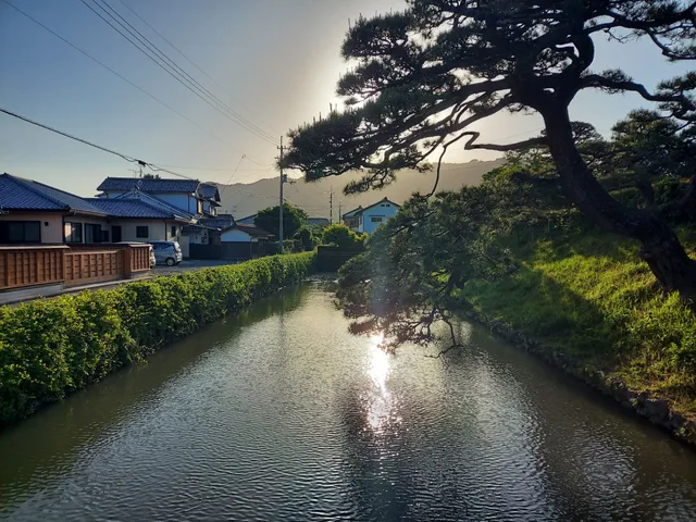 photo-3
