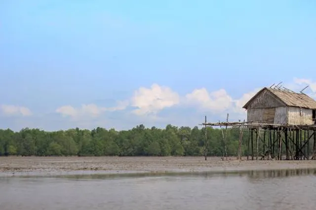 Berbak National Park