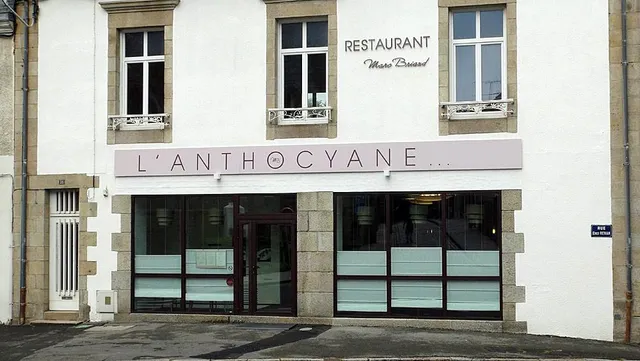 L'Anthocyane
