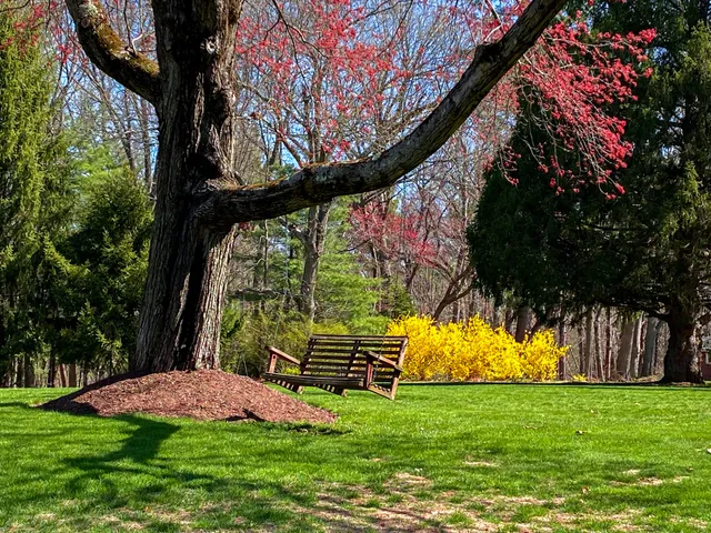 photo-1