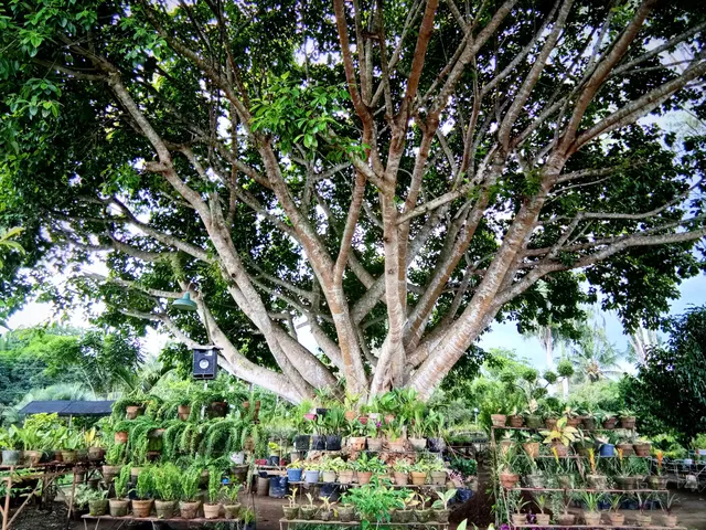 place image