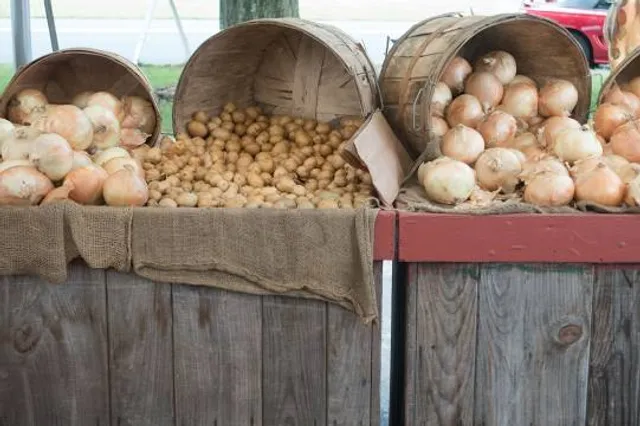 Rosedale Farms & Vineyards