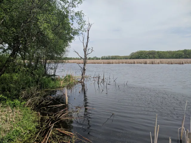 Exner Marsh Conservation Area