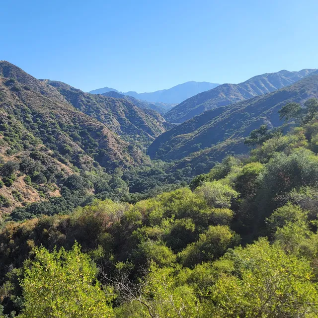 Big Dalton Wilderness Area