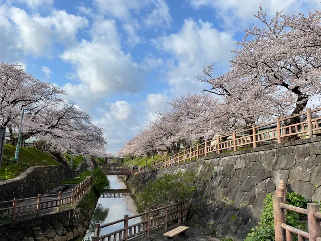 Okawabatataijokinrin Park