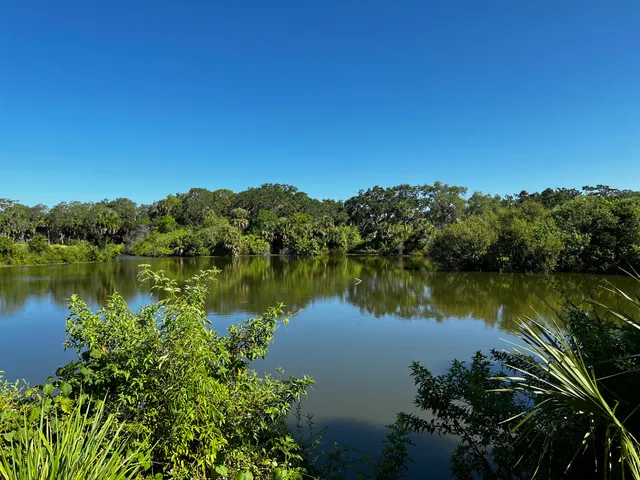 Red Bug Slough Preserve