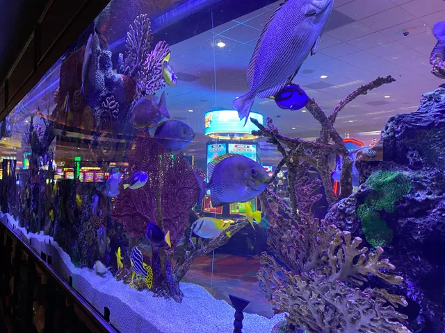 Black&Blue Steakhouse