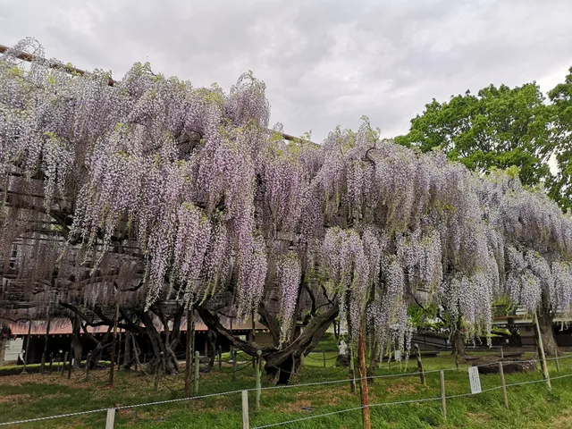 Shinanokokubunji Shiseki Park