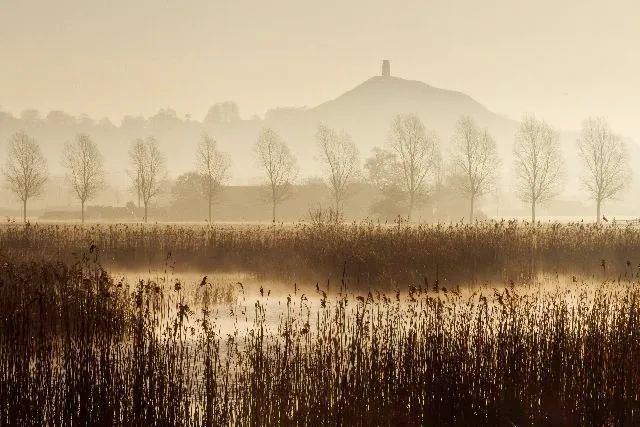 Avalon Marshes Centre