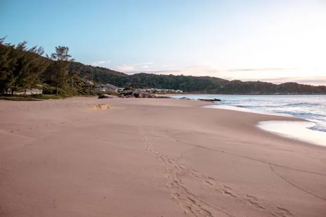 Shipyard Beach Access