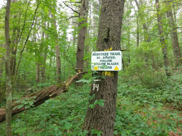 Spencer State Forest