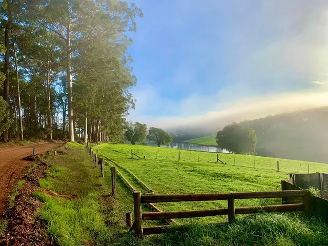 Munda Biddi Trail Foundation