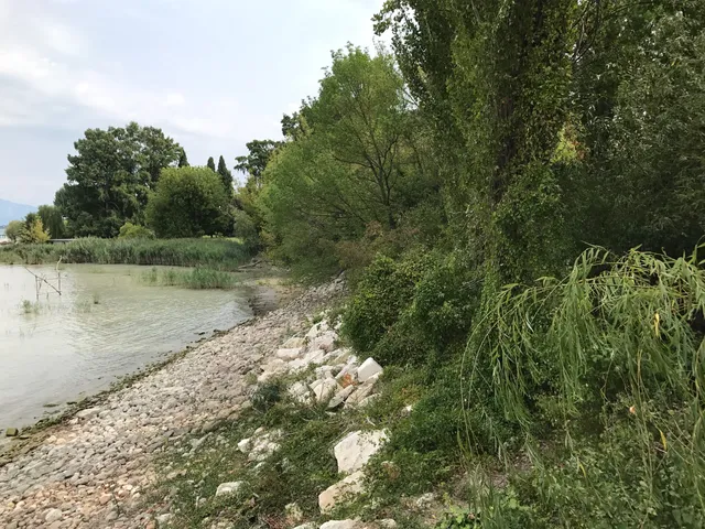 Oasis San Francesco del Garda