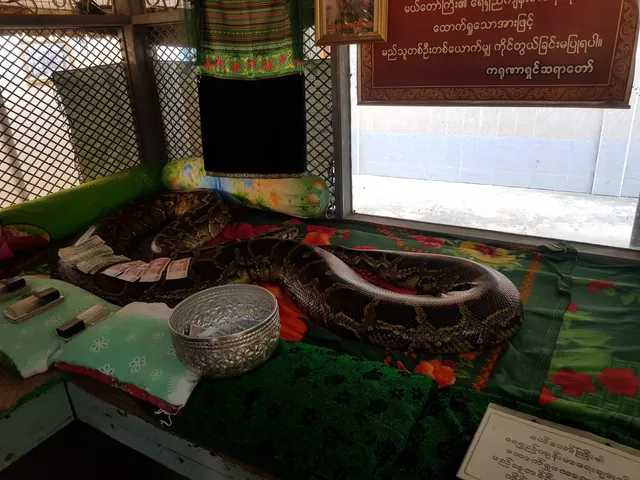 photo-3