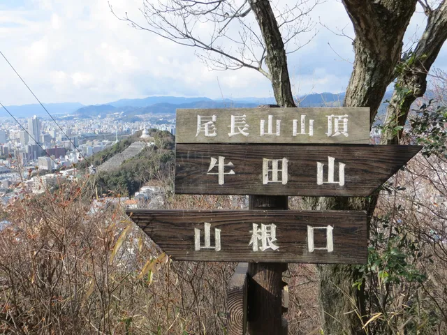 尾長山