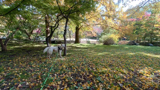 photo-2