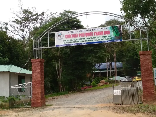 Trung Tâm Bảo Tồn Chó Xoáy Phú Quốc Trang Trại Thanh Nga