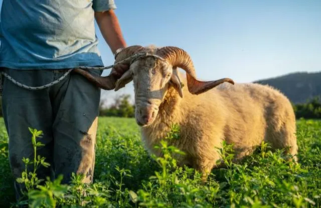 Sawan Park Ang Thong (Nong Chet Sen)