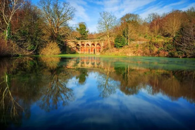 Hampstead Heath