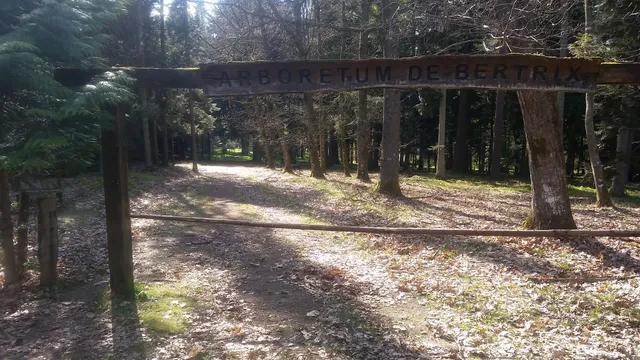 Arboretum de Bertrix