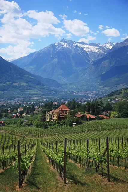 Castello Rametz - Wine Museum