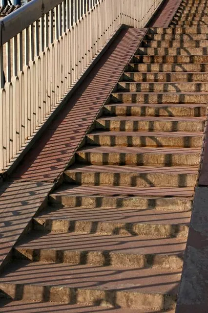 The City Park. Żeromskiego