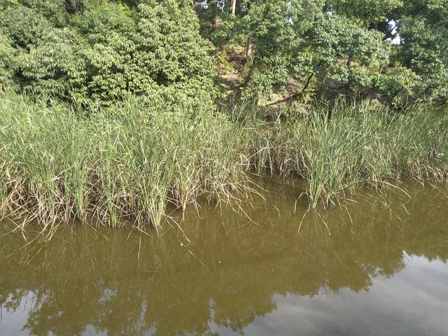photo-2