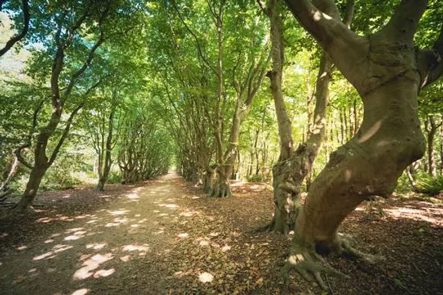 Buitenplaats Berkenbosch