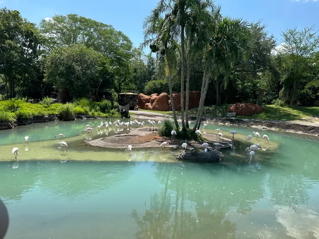 Kilimanjaro Safaris