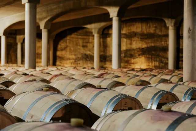 Bodegas Castillo de Mendoza