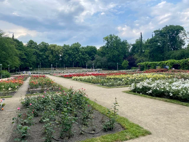 Różanka Rose Garden
