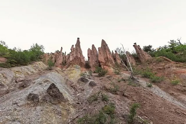 Toplica Administrative District