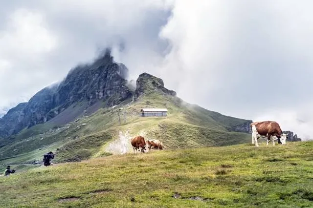 Grindelwald - Wengen
