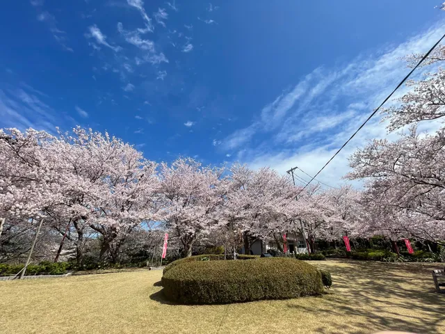 Nishiura Hilltop Park