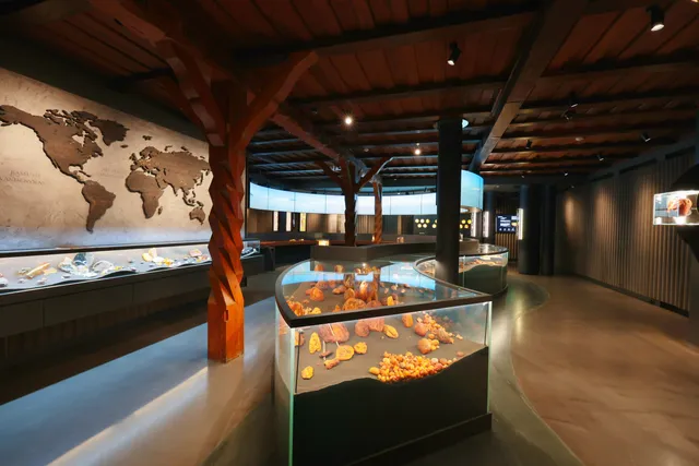 Mizgiris Amber Museum