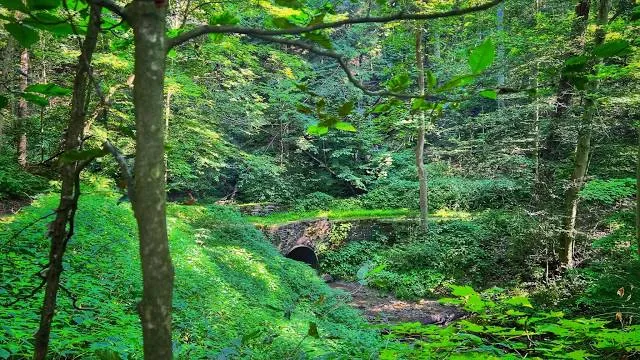 F.A. Seiberling Nature Realm