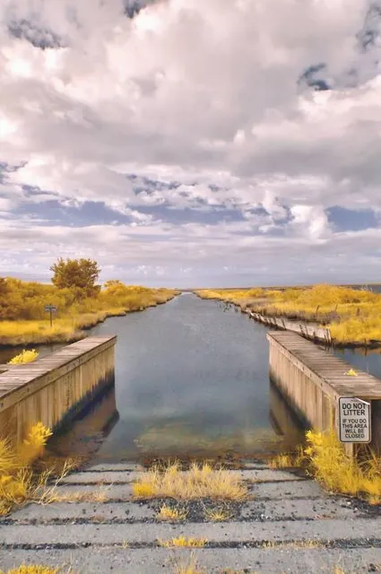 Deal Island State Wildlife Management Area