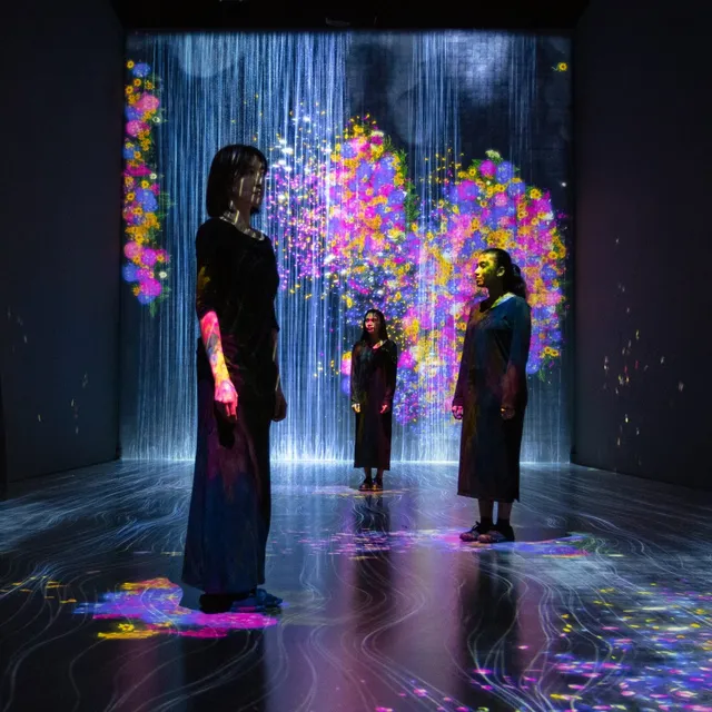 teamLab Future World