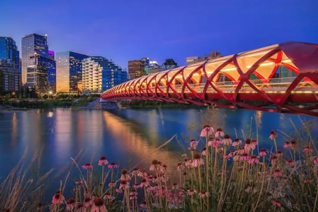Peace Bridge
