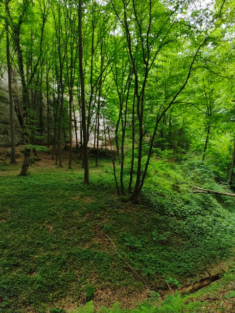 Wąwóz Półrzeczki