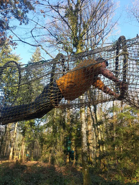 Sensation Nature - Accrobranche