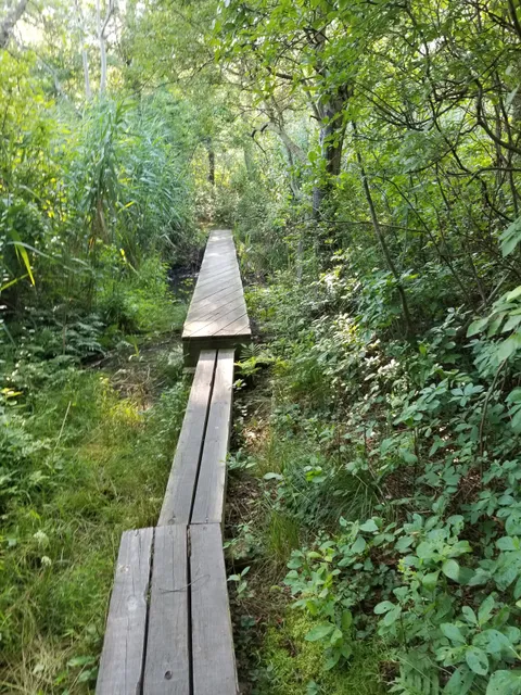 Nassau-Suffolk Greenbelt Trail