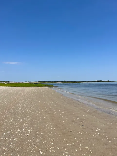 Tybee Island Charters